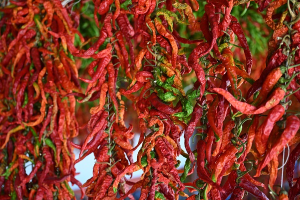 Foto - Sofraya gelmesi hiç de kolay değil! İşte, kırmızı mesai