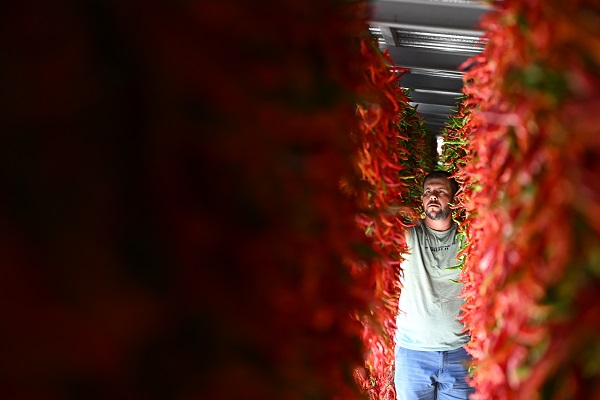 Foto - Sofraya gelmesi hiç de kolay değil! İşte, kırmızı mesai