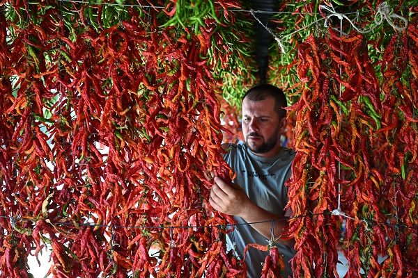 Foto - Sofraya gelmesi hiç de kolay değil! İşte, kırmızı mesai