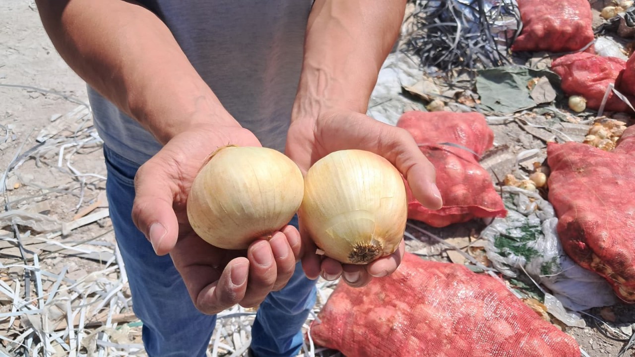 Foto - Soğan fiyatları düşmesin daha da artsın diye bakın ne yaptılar! 'Allah sizi bildiği gibi yapsın'