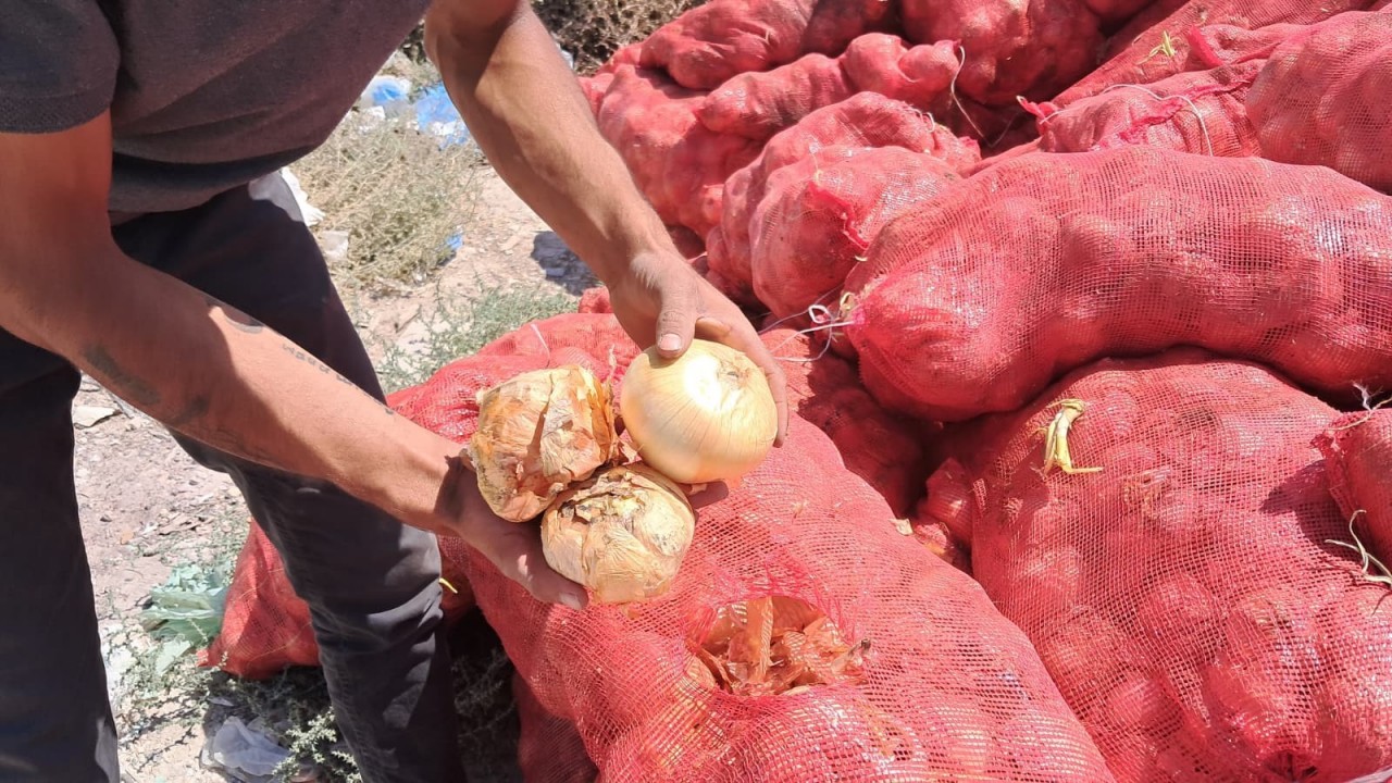 Soğan fiyatları düşmesin daha da artsın diye bakın ne yaptılar! 'Allah sizi bildiği gibi yapsın'