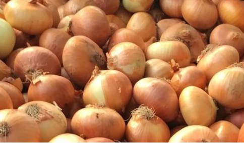 Foto - Soğan fiyatları düşmesin diye bakın ne yaptılar! Allah sizi bildiği gibi yapsın