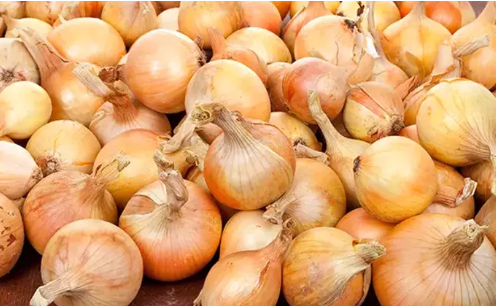 Soğan fiyatları düşmesin diye bakın ne yaptılar! Allah sizi bildiği gibi yapsın