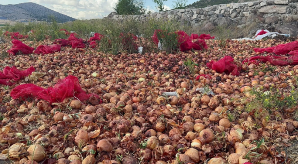 Foto - Soğan fiyatları düşmesin diye bakın ne yaptılar! Allah sizi bildiği gibi yapsın