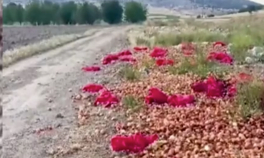 Foto - Soğan fiyatları düşmesin diye bakın ne yaptılar! Allah sizi bildiği gibi yapsın