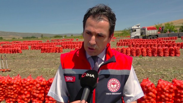 Foto - Soğan hasadı başladı! Fiyatı ne kadar olacak?