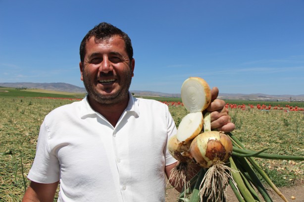 Foto - Soğan hasadı başladı! Fiyatı ne kadar olacak?