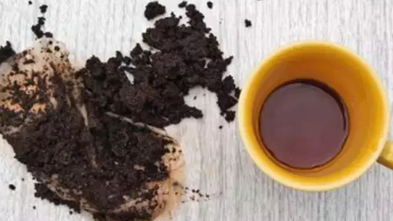 Foto - Bunların suyunu çiçeklere dökün can suyu olacak! Çok şaşıracaksınız! 