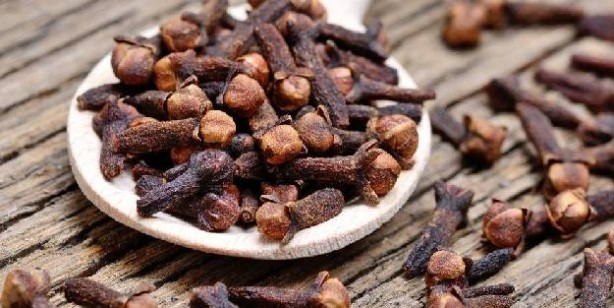 Foto - Soğan ve karanfil birleşince şifa saçıyor