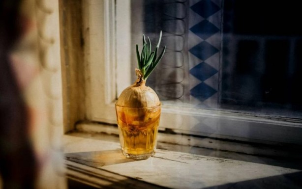 Foto - Soğan yemeden önce bilmeniz gereken 25 gerçek