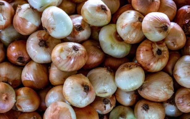 Foto - Soğan yemeden önce bilmeniz gereken 25 gerçek