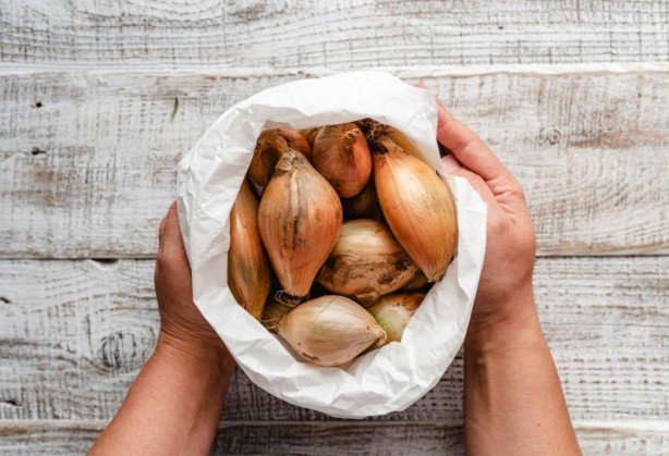 Foto - Soğan yemeden önce bilmeniz gereken 25 gerçek