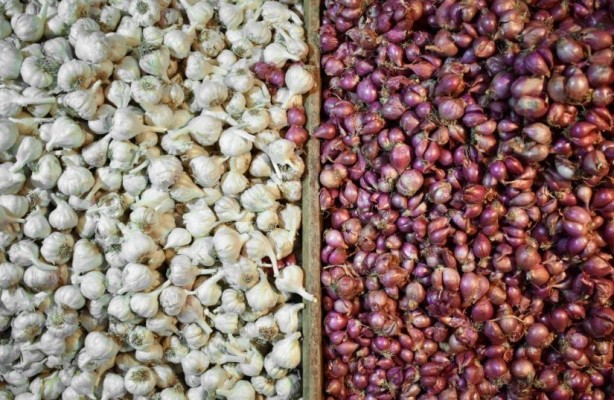 Foto - Soğan yemeden önce bilmeniz gereken 25 gerçek