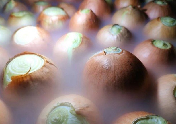 Foto - Soğan yemeden önce bilmeniz gereken 25 gerçek