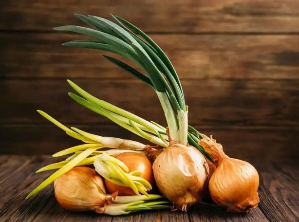 Soğan yemeden önce bilmeniz gereken 25 gerçek