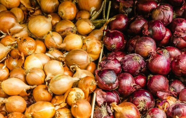 Foto - Soğan yemeden önce bilmeniz gereken 25 gerçek