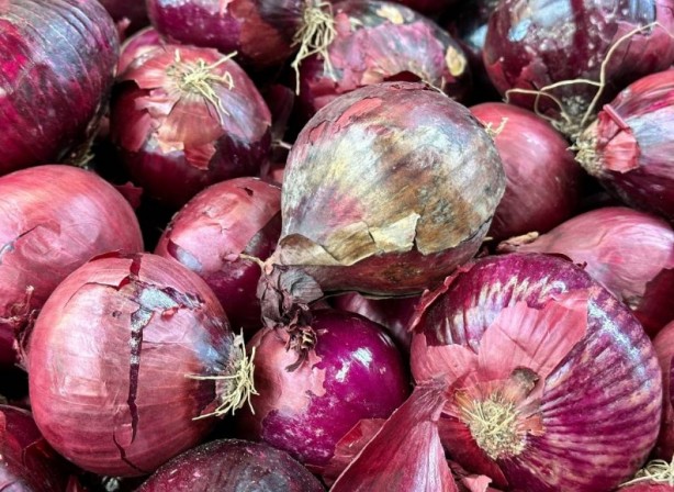 Foto - Soğan yemeden önce bilmeniz gereken 25 gerçek