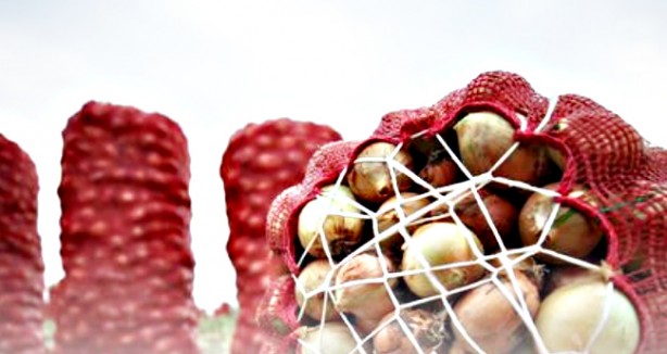 Foto - Soğancılar bu haberimiz size gelsin! Şimdi hangi argümanı ortaya koyacaksınız acaba...