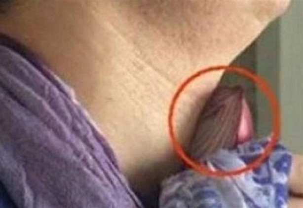 Foto - Soğanı boynunuza bağlarsanız...