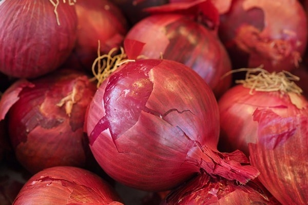 Foto - Soğanı göğsünüze sürerseniz...