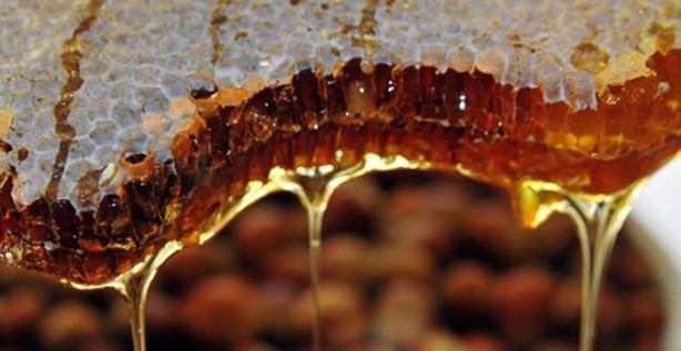 Foto - Soğanı süte katıp içince...