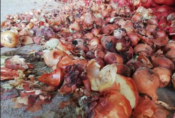 Foto - Soğanları ucuza satmamak için bakın ne yaptılar! 