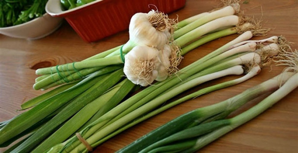 Foto - Soğanları yanlış kullanıyoruz!