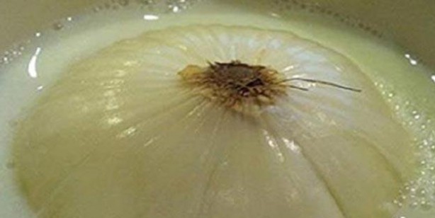 Foto - Soğanlı sütün faydaları: Mor soğan, hızlı bir şekilde vücuda yayılıyor! Geçmez denilen öksürüğü geçiriyor