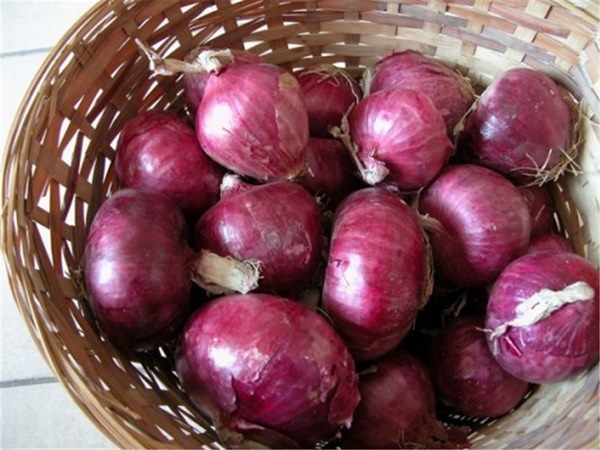 Foto - Soğanlı sütün yararları nelerdir?