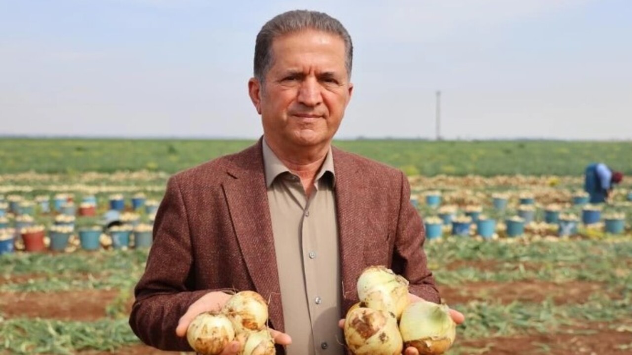 Foto - Soğuk hava en çok ona yaradı! İşte bolluğuyla çiftçinin yüzünü güldüren soğanın fiyatı