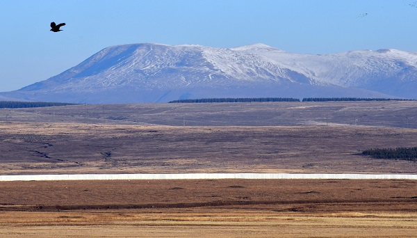 Foto - Soğuk hava etkisini göstermeye başladı