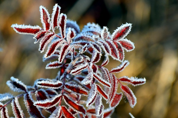 Soğuk hava etkisini göstermeye başladı