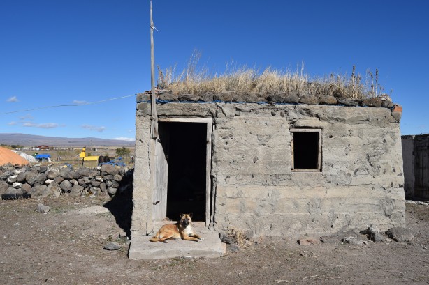 Foto - Soğuk havaya rağmen tandır...