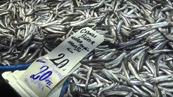 Foto - Soğuklar balık tezgahlarına yaradı! Tezgahlarda balık bolluğu