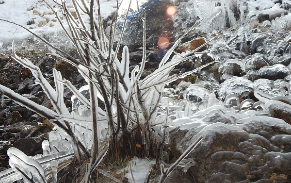Foto - Soğuktan araç camları bu hale geli