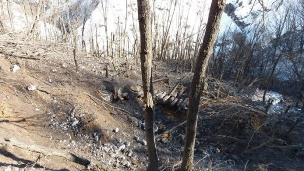 Foto - Şok görüntüler! Sığınakta yakalanan 2 PKK'lı böyle çıkarıldı!