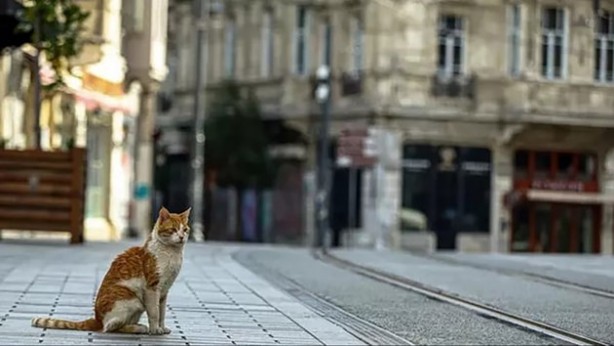 Foto - Sokağa çıkma yasağı olacak mı? Tüm gözler oraya çevrildi