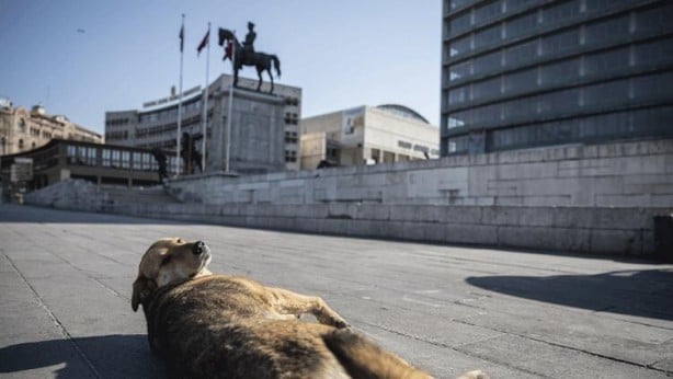 Foto - Sokağa çıkma yasağının ardından tarihi görüntüler