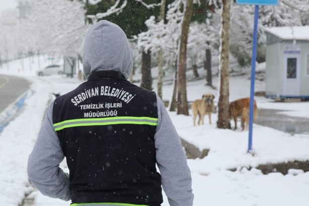 Foto - Sokak hayvanları unutulmadı