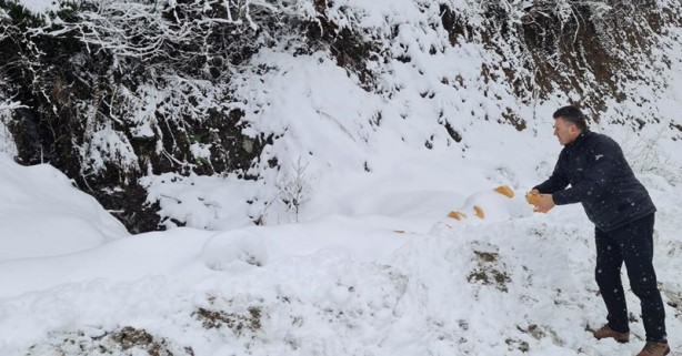 Foto - Sokak hayvanları unutulmadı