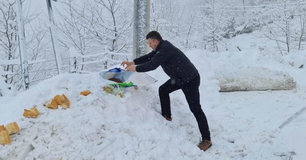 Foto - Sokak hayvanları unutulmadı