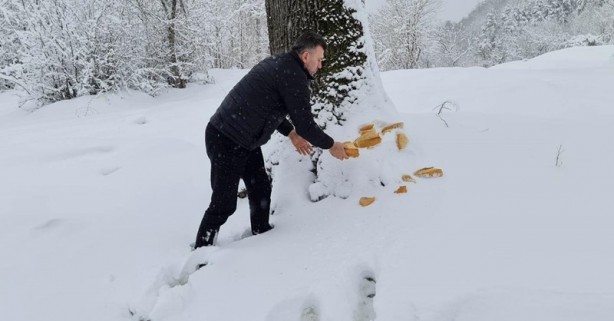 Foto - Sokak hayvanları unutulmadı