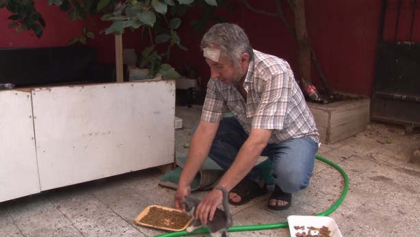 Foto - Sokak hayvanlarını beslediği için darp edildi