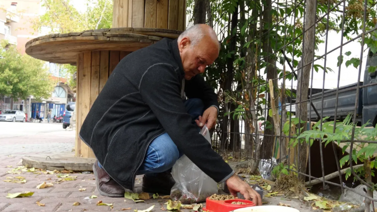 Foto - Sokak köpeğine güven olmaz! Besleyeyim derken hayatının şokunu yaşadı