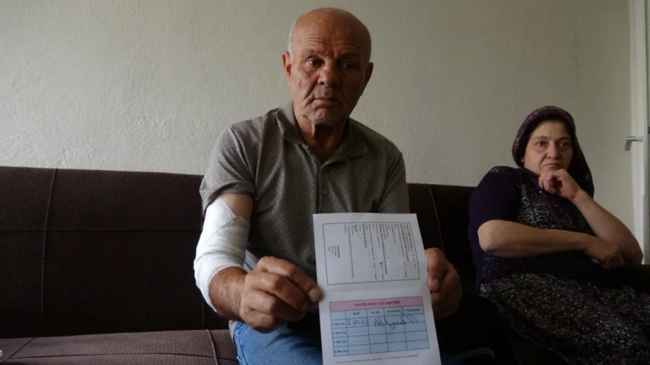 Foto - Sokak köpeğine güven olmaz! Besleyeyim derken hayatının şokunu yaşadı