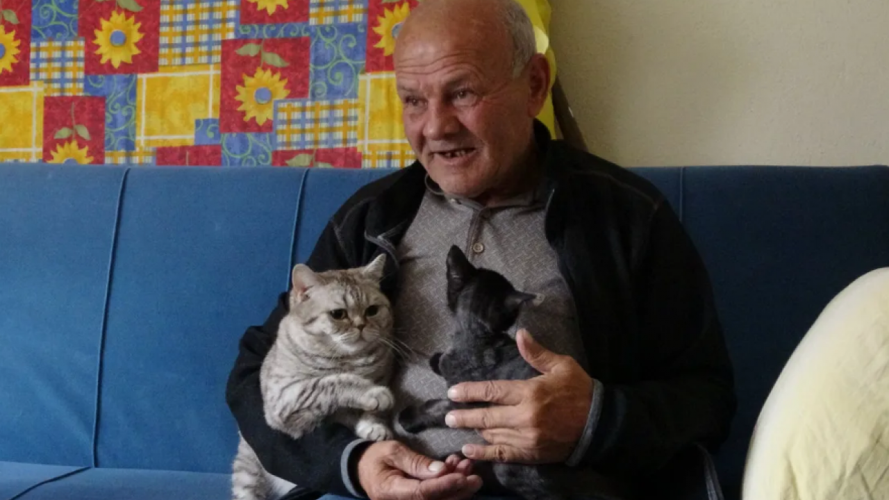 Foto - Sokak köpeğine güven olmaz! Besleyeyim derken hayatının şokunu yaşadı