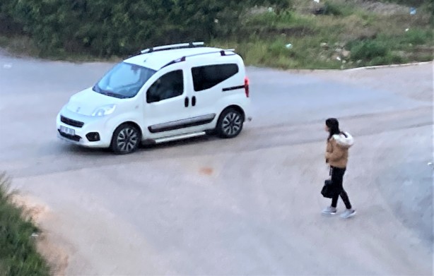 Foto - Sokak köpekleri genç kıza dehşeti yaşattı! O anlar anbean kaydedildi