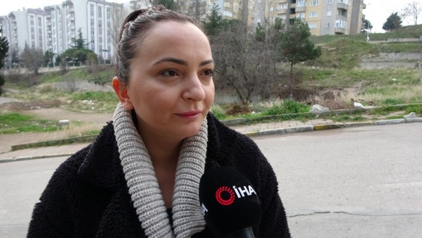 Foto - Sokak köpekleri okula giden çocuğa dehşeti yaşattı! 