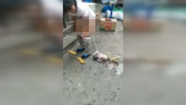 Foto - Sokak ortasında doğum yaptı! Şoke eden anlar böyle kaydedildi