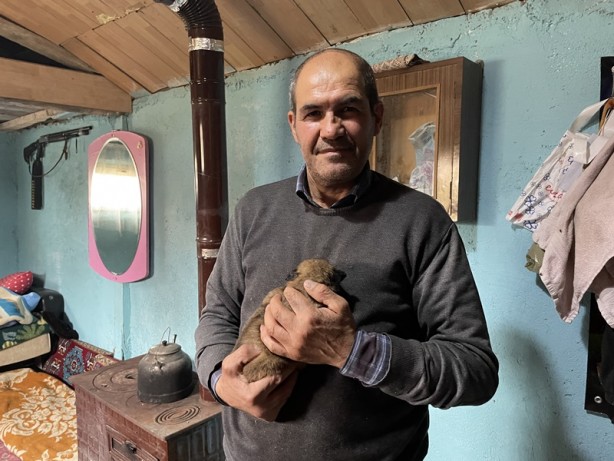 Foto - Sokakta donmak üzereyken buldu! Köpek yavrularını biberonla besliyor